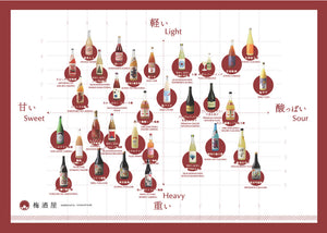 CHIEBIJIN KOUCHAUMESHU 7% 720ml tea umeshu Japanese Plum Wine